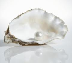 pearl--oyster