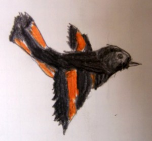 bird-flying child drawing