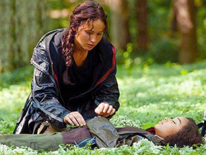 The-hunger-games-katniss-rue-death-flowers